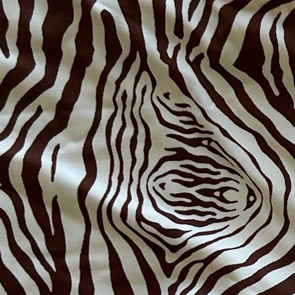 Dippin’ Daisy’s Rebel Shorts - Picture 3 of 3